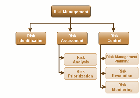 risk management activity