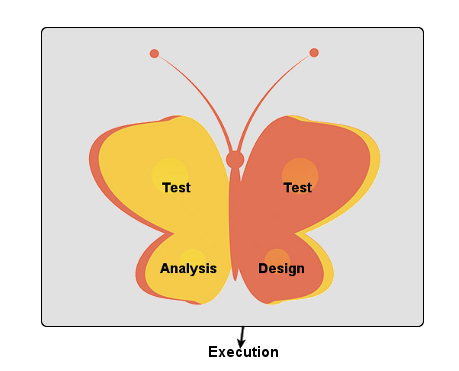 butterfly model