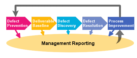 defect mgmnt process