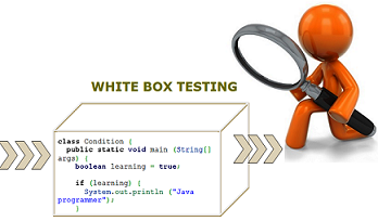 white box testing